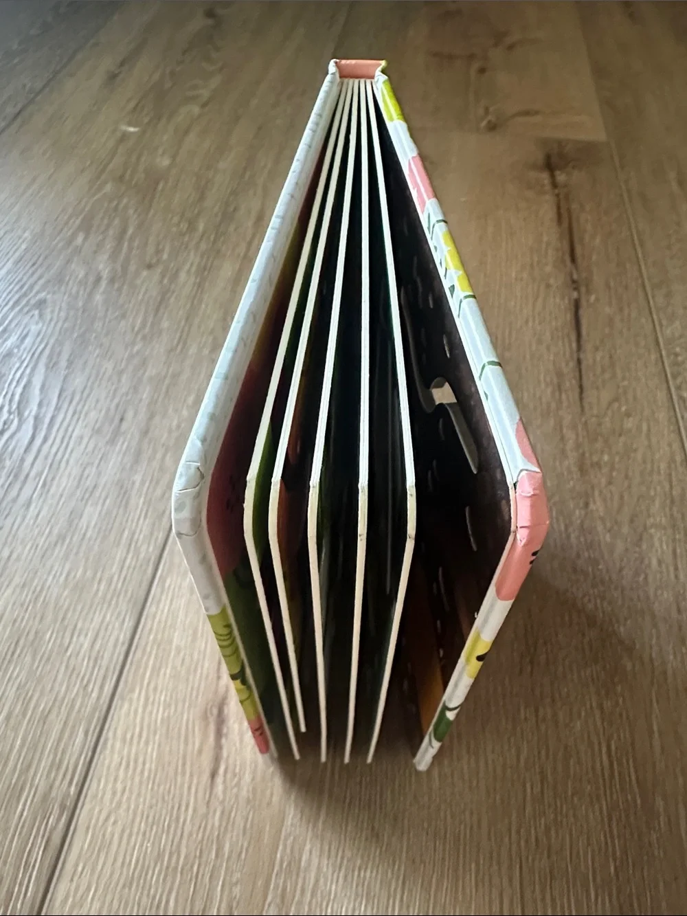 Usborne Are You There Little Bunny? Peak Thru Board Book